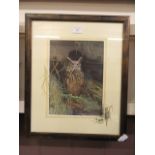 A framed and glazed watercolour of long eared owl signed Glenda Rae