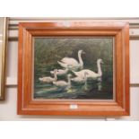 A framed oil on board of swan and signets signed Fred Goodall