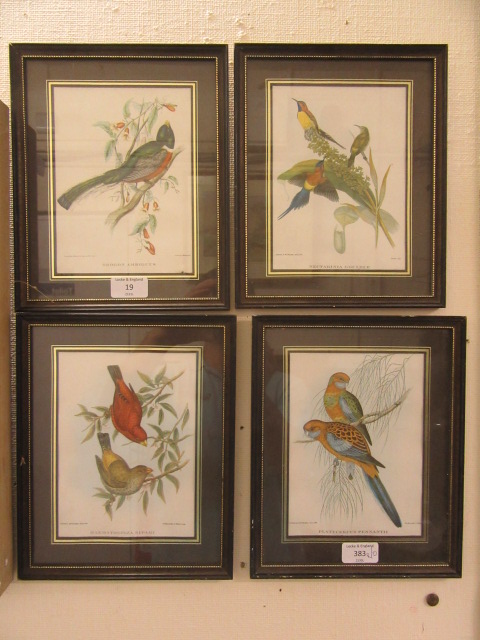 A set of four framed and glazed coloured prints of birds