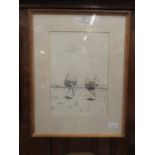 A framed and glazed charcoal drawing of ostriches signed G.