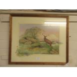 A framed and glazed watercolour of stag on hill signed Glenda Rae