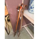 Five assorted walking sticks together with a shooting stick