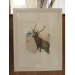 A framed and glazed watercolour of a stag in Charlecote park signed Glenda Rae