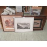 Three framed and glazed prints to include Warwick castle, fish,