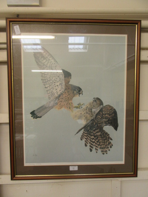 A framed and glazed limited edition print of birds of prey no.