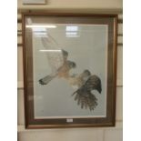 A framed and glazed limited edition print of birds of prey no.
