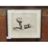 A framed and glazed limited edition print of a dog signed Cecil Aldin