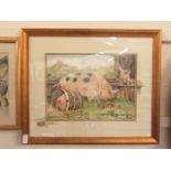 A framed and glazed Glenda Rae watercolour of pigs