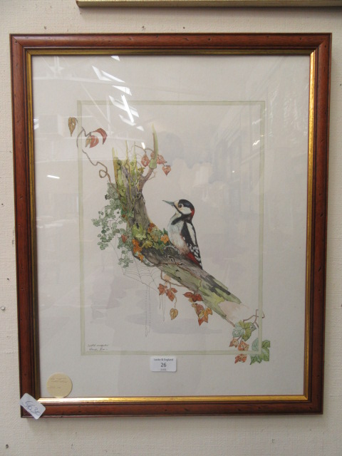 A framed and glazed watercolour of spotted woodpecker signed Glenda Rae