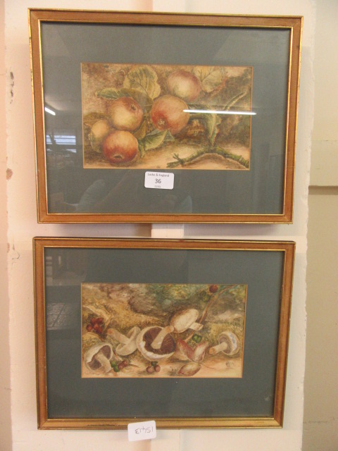 A pair of framed and glazed watercolours of apples and mushrooms