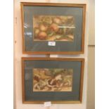A pair of framed and glazed watercolours of apples and mushrooms