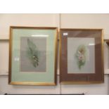 Two framed and glazed watercolours of birds one signed Raymond C Watson the other Brian Reed