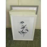 A large selection of modern framed and glazed prints of birds, houses,