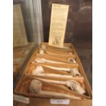Ten clay pipes