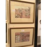 Two framed and glazed limited edition prints of garden scenes titled 'Red Clemance' and 'White