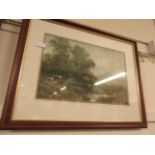 Two framed and glazed prints of wooded scenes