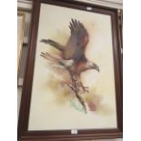 A modern framed oil on canvas of bird of prey signed bottom right Deloef