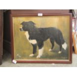 A framed oil on board of Collie dog "Ripp" signed bottom right R.D.