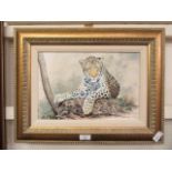 A framed and glazed limited edition print of a leopard No 257 of 775 by S Gayford