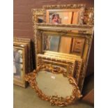 A large selection of modern ornate gilt framed wall mirrors