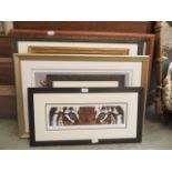 A selection of framed and glazed limited edition prints of rhinoceros, lion, elephant etc.