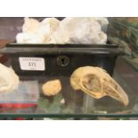 A tin containing an assortment of animal skulls