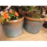 A pair of blue glazed garden pots with plants