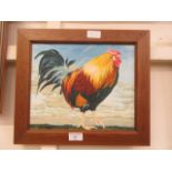 A framed oil on board of a large Cockerel