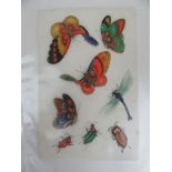 A collection of eleven Chinese rice paper paintings of various subjects to include birds,