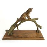 A 20th century possibly Austrian cold painted bronze model of a leopard on a branch, h. 13.