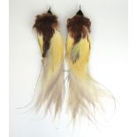 A pair of early 20th century taxidermy Birds of Paradise