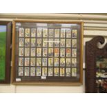 A framed and glazed collection of cigarette cards of cricketers