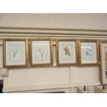 A set of four gilt framed and glazed botanical prints