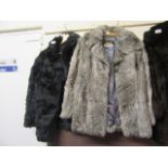 A black fur coat along with a grey peacock feather coat