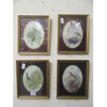 Four framed and glazed prints of nesting birds