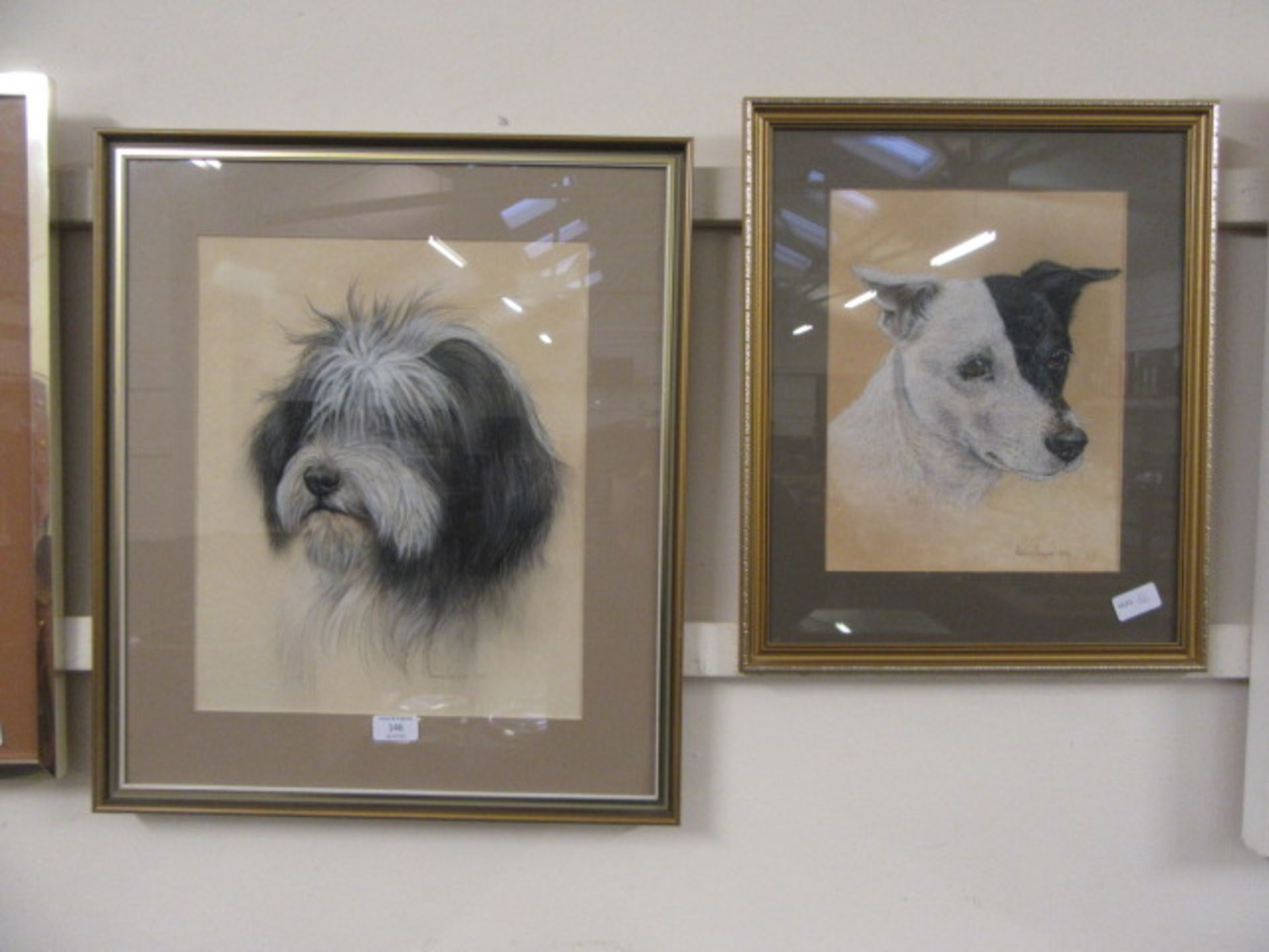 Two framed and glazed pictures of dogs signed in pencil,