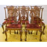 DINING CHAIRS, a set of eight (including two armchairs), Chippendale style mahogany, with red dralon