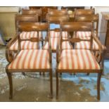 DINING CHAIRS, a set of eight Regency mahogany including two armchairs with striped drop in seats (