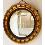 CONVEX WALL MIRROR, early 19th century giltwood, with circular plate and ebonised slip, 63cm diam.