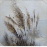 CONTEMPORARY SCHOOL, Pampas Grass, on canvas, 100cm x 100cm.