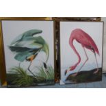 AFTER JOHN JAMES AUBUDON, after the birds of America prints, a pair, framed, 113cm x 83cm each (2).