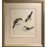 19th CENTURY SCHOOL 'Bullfinches', watercolour, 12cm x 12cm, framed.