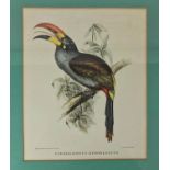 EXOTIC BIRDS LITHOGRAPHS, a set of twelve, circa 1850's by J. Gould and H. C. Richter, with pastel
