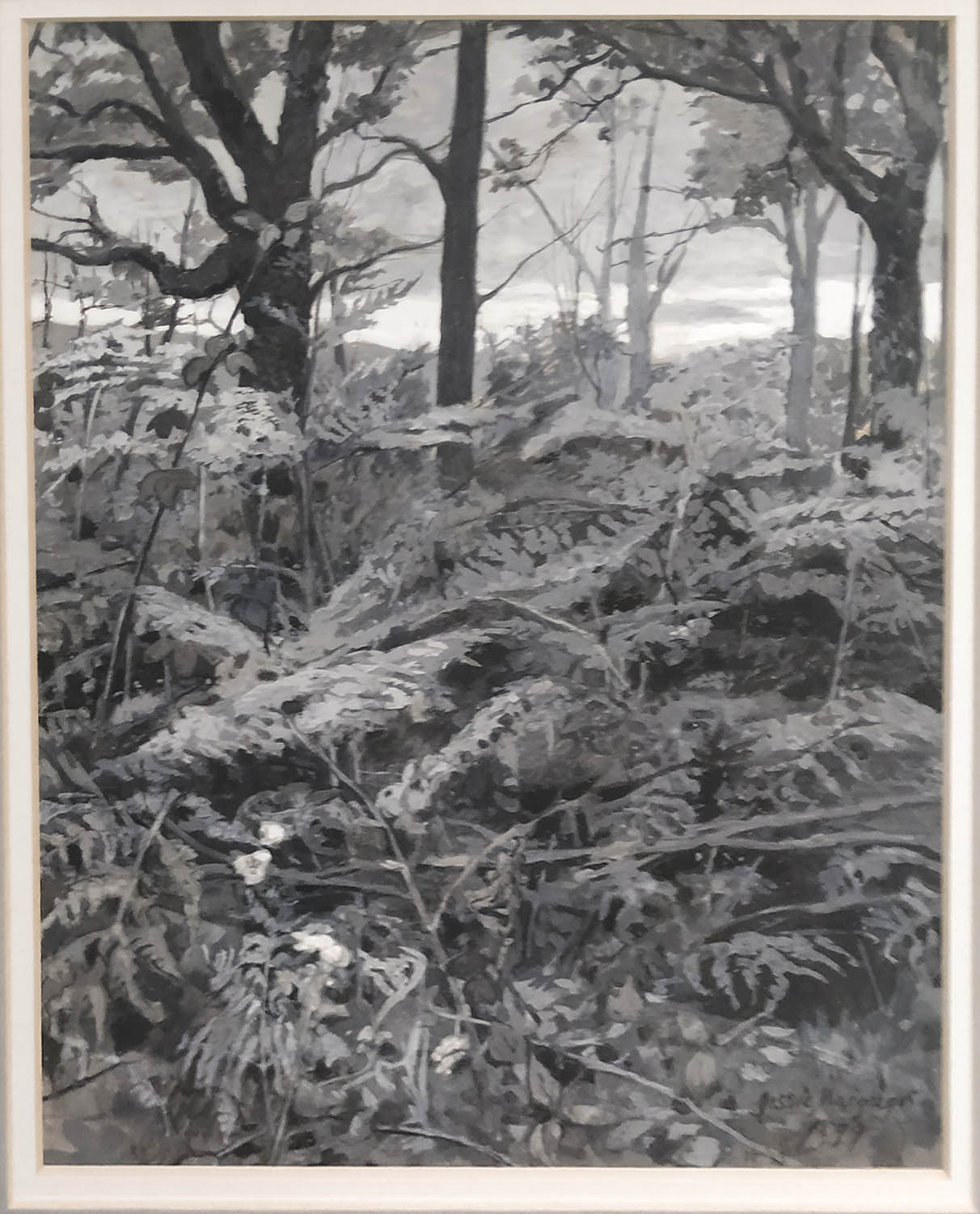 JESSIE MCGREGOR (1850-1919) 'Woodland Ferns', gouache, signed and dated 1899, label verso, 22cm x - Image 2 of 2