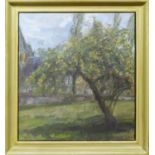 20th CENTURY SCHOOL 'Tree in the Orchard', oil on canvas, initialled 'C.G.' lower right, 60cm x