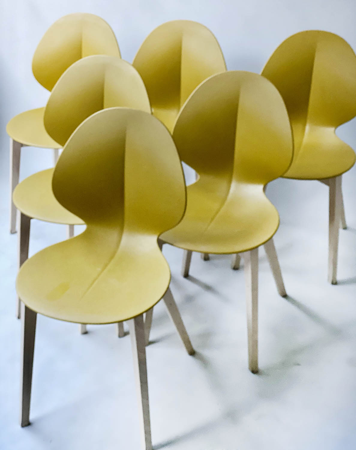 CALLIGARIS BASIL CHAIRS, a set of six, by Mr Smith Studio, 85cm H. (6) - Image 9 of 9