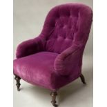 VICTORIAN ARMCHAIR, purple velvet upholstered with curved buttoned back and serpentine front on