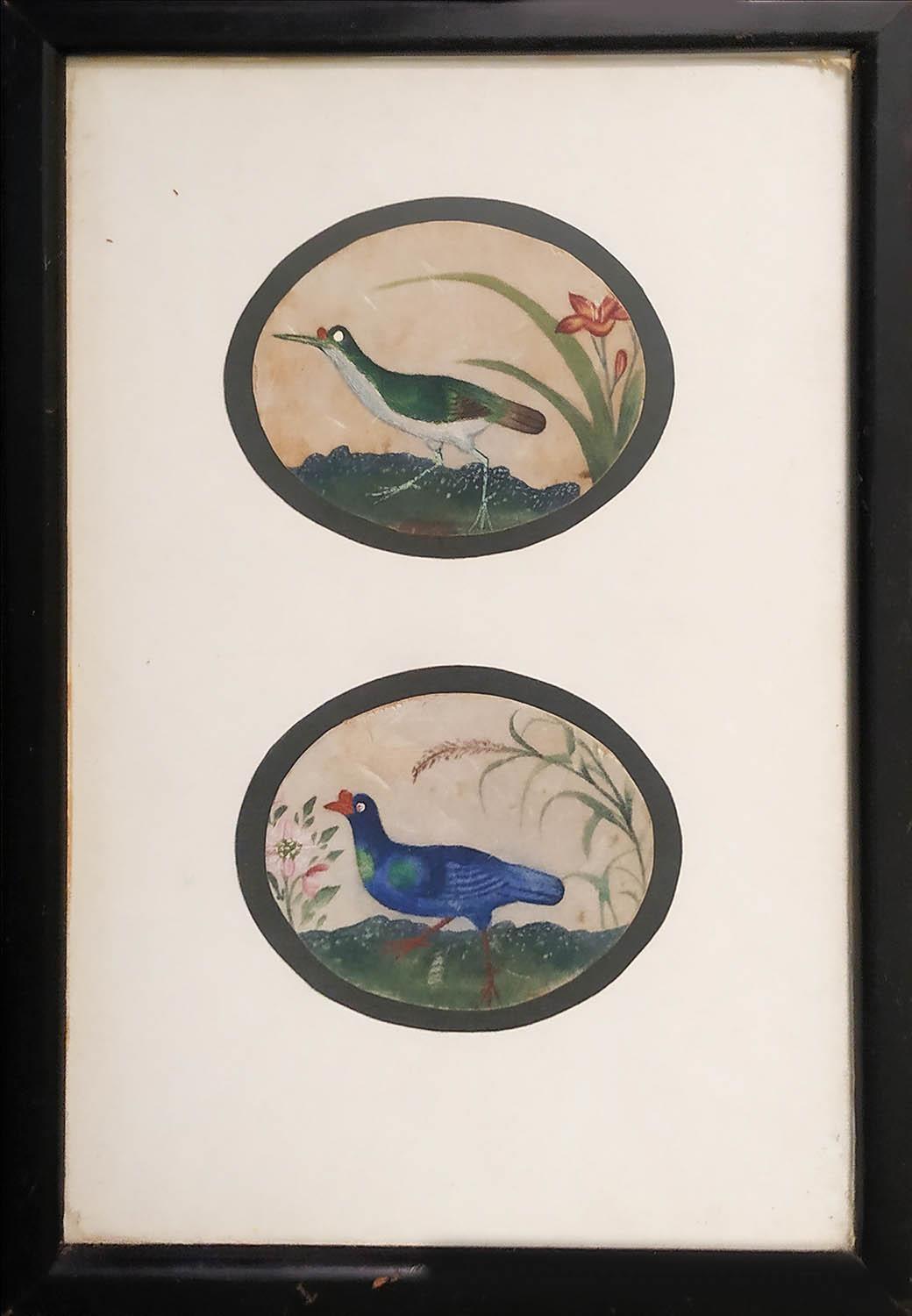 19th CENTURY PERSIAN SCHOOL 'Wood Pecker and Moor Hen', watercolour, two ovals in one frame, 5.5cm x