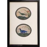 19th CENTURY PERSIAN SCHOOL 'Wood Pecker and Moor Hen', watercolour, two ovals in one frame, 5.5cm x
