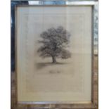 LYNDI SALES 'Autumn and Winter Tree', a pair of etchings on black river reed paper, signed, titled